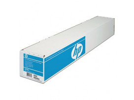 HP Professional Satin Photo Paper-610 mm x 15.2 m (24 in x 50 ft)